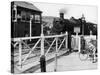 The Cambrian Coast Express Steam Locomotive Train at Llanbadarn Crossing Near Aberystwyth Wales-null-Stretched Canvas