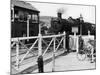The Cambrian Coast Express Steam Locomotive Train at Llanbadarn Crossing Near Aberystwyth Wales-null-Mounted Photographic Print