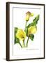 The Cambridge Calla-H.g. Moon-Framed Art Print