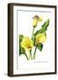 The Cambridge Calla-H.g. Moon-Framed Art Print