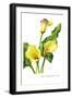 The Cambridge Calla-H.g. Moon-Framed Art Print