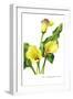 The Cambridge Calla-H.g. Moon-Framed Art Print