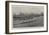 The Cambridge Crew Practising for the Oxford and Cambridge Boat-Race-null-Framed Giclee Print