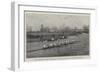 The Cambridge Crew Practising for the Oxford and Cambridge Boat-Race-null-Framed Giclee Print