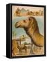 'The Camel', c1900-Helena J. Maguire-Framed Stretched Canvas