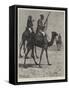 The Camel Corps of the Egyptian Army-Richard Caton Woodville II-Framed Stretched Canvas