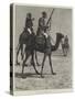 The Camel Corps of the Egyptian Army-Richard Caton Woodville II-Stretched Canvas