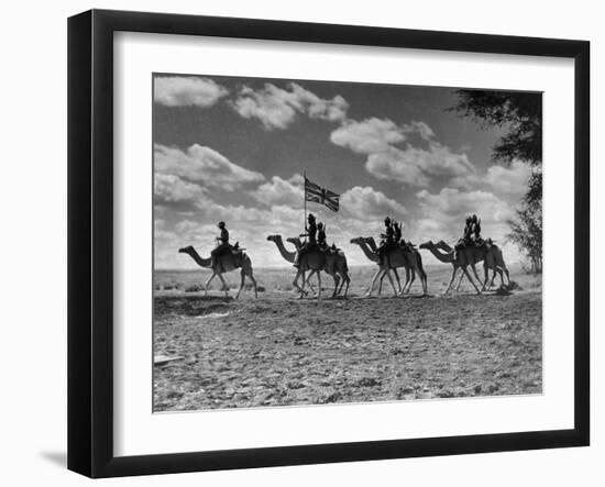 The Camel Corps of the King's African Rifles, October 1945-null-Framed Premium Photographic Print