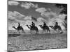 The Camel Corps of the King's African Rifles, October 1945-null-Mounted Premium Photographic Print