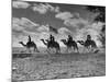 The Camel Corps of the King's African Rifles, October 1945-null-Mounted Photographic Print