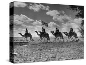 The Camel Corps of the King's African Rifles, October 1945-null-Stretched Canvas