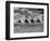 The Camel Corps of the King's African Rifles, October 1945-null-Framed Photographic Print