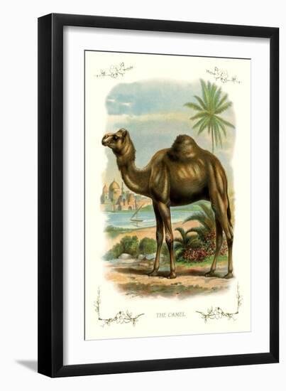 The Camel-null-Framed Art Print