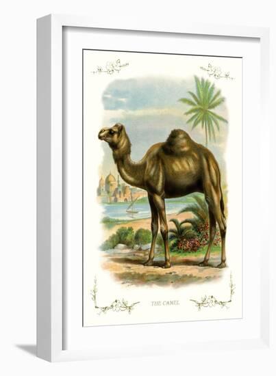 The Camel-null-Framed Art Print