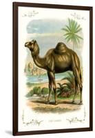 The Camel-null-Framed Art Print