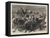 The Camp at Aldershot, the Stampede of Cavalry Horses-Godefroy Durand-Framed Stretched Canvas