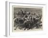 The Camp at Aldershot, the Stampede of Cavalry Horses-Godefroy Durand-Framed Giclee Print