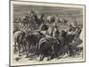 The Camp at Aldershot, the Stampede of Cavalry Horses-Godefroy Durand-Mounted Giclee Print