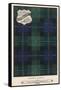 The Campbell (Cawdor) Tartan (Green, Blue and Red)-null-Framed Stretched Canvas