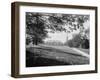 The Campus, Cornell University-null-Framed Giclee Print