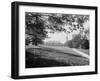 The Campus, Cornell University-null-Framed Giclee Print