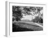 The Campus, Cornell University-null-Framed Giclee Print