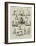 The Canadian Game of La Crosse-null-Framed Giclee Print