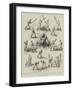 The Canadian Game of La Crosse-null-Framed Giclee Print