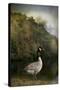 The Canadian Goose-Jai Johnson-Stretched Canvas