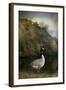 The Canadian Goose-Jai Johnson-Framed Giclee Print