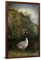 The Canadian Goose-Jai Johnson-Framed Giclee Print