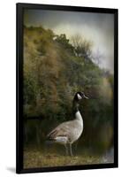 The Canadian Goose-Jai Johnson-Framed Giclee Print