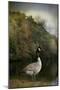 The Canadian Goose-Jai Johnson-Mounted Giclee Print