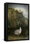 The Canadian Goose-Jai Johnson-Framed Stretched Canvas
