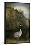 The Canadian Goose-Jai Johnson-Framed Stretched Canvas