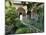 The Canal Court of the Generalife Gardens in May, Granada, Andalucia, Spain-Nedra Westwater-Mounted Photographic Print