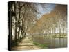 The Canal Du Midi, Near Capestang, Languedoc Roussillon, France-Michael Busselle-Stretched Canvas