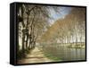 The Canal Du Midi, Near Capestang, Languedoc Roussillon, France-Michael Busselle-Framed Stretched Canvas