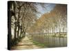 The Canal Du Midi, Near Capestang, Languedoc Roussillon, France-Michael Busselle-Stretched Canvas