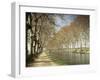 The Canal Du Midi, Near Capestang, Languedoc Roussillon, France-Michael Busselle-Framed Photographic Print