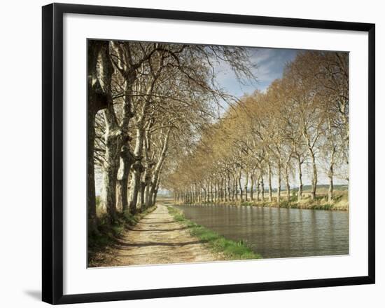 The Canal Du Midi, Near Capestang, Languedoc Roussillon, France-Michael Busselle-Framed Photographic Print