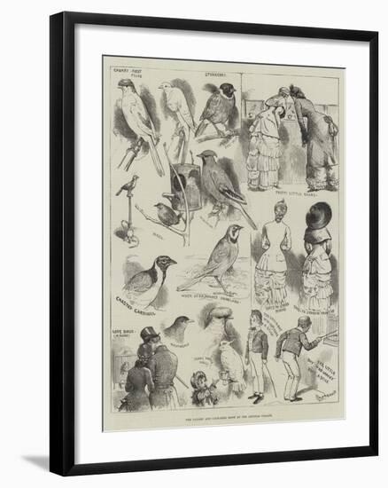 The Canary and Cage-Bird Show at the Crystal Palace-Alfred Courbould-Framed Giclee Print