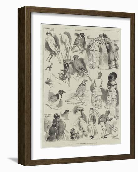 The Canary and Cage-Bird Show at the Crystal Palace-Alfred Courbould-Framed Giclee Print