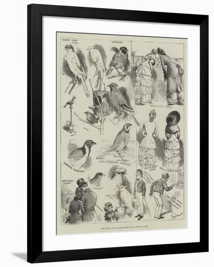 The Canary and Cage-Bird Show at the Crystal Palace-Alfred Courbould-Framed Giclee Print