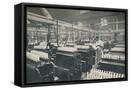 Framed Canvas