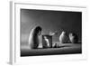 The Canned Friend-Victoria Ivanova-Framed Photographic Print