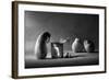 The Canned Friend-Victoria Ivanova-Framed Photographic Print