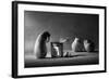 The Canned Friend-Victoria Ivanova-Framed Photographic Print