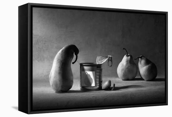 The Canned Friend-Victoria Ivanova-Framed Stretched Canvas