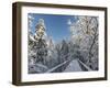 The Canopy Walkway of the Visitor Center of the National Park Bavarian Forest , the Deep of Winter-Martin Zwick-Framed Photographic Print